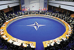 НАТО нравится, как Украина готовится к вступлению 