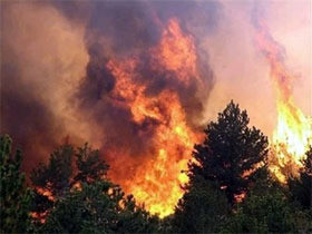 Пожар в Луганской области тушили два дня  