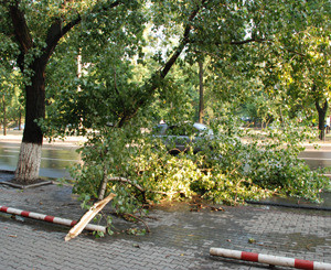 Донбасс накрыло ураганным ветром и грозами 