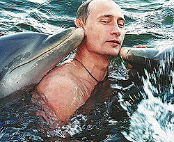 Путин оснастил дельфина жучком 