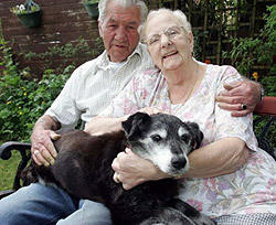 Самой старой собаке в мире пошёл 27 год 