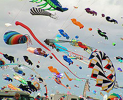 В Украине состоится фестиваль воздушных змеев  