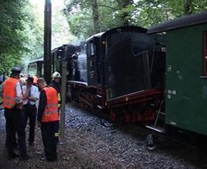 В Германии столкнулись 2 старых поезда с пассажирами  