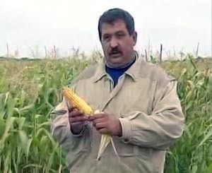 Невыездной из-за кукурузы 