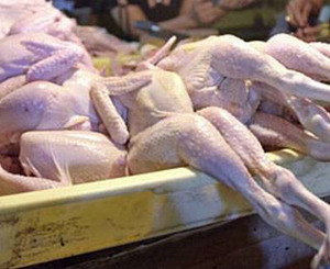 Украинцев хотели накормить отравленным куриным паштетом 
