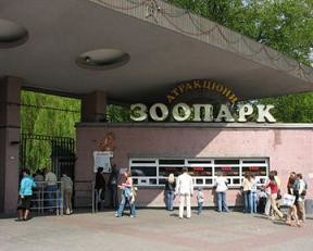 Киевский зоопарк предлагает необычное развлечение и массу впечатлений 