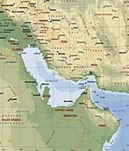 Страны Персидского залива придумывают название новой валюте 