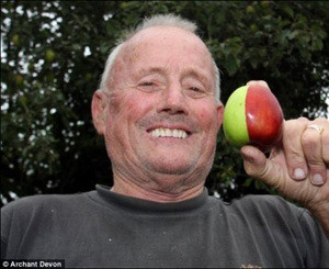Британец вырастил двухцветное яблоко-мутант 