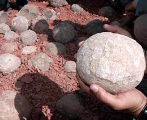 В Индии местные жители и туристы разворовали яйца динозавров 