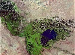 Озеро Чад практически высохло 