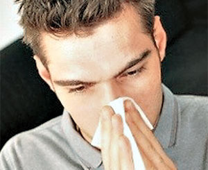 От свиного гриппа защищает банальный насморк 