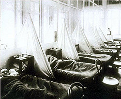 Британские ученые утверждают, что украинский грипп очень похож на «испанку»   