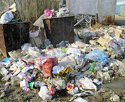 Киев решили избавить от мусора 