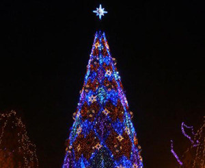Главная новогодняя елка Львова будет установлена 10 декабря 