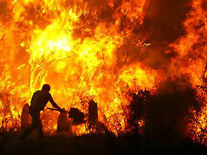 На юго-востоке Австралии вновь бушуют лесные пожары 
