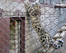 Киевский зоопарк утеплился к зиме 