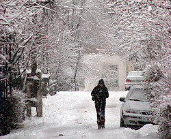 Сотни украинцев попали в ловушку снегопадов и мороза 