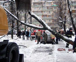 Киев завален упавшими деревьями 