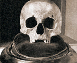 Из немецкого музея украли череп знаменитого пирата  