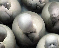 В России запретили клонирование людей 