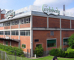 Работники Carlsberg вышли на страйк из-за запрета пить пиво на работе 