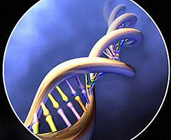 Ученые создали эмбрионы из ДНК мужчины и двух женщин  