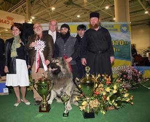 В Киеве выбрали лучших псов 