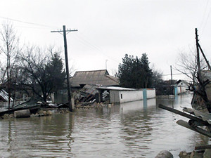 Наводнение на Буковине: два человека погибли, один спасся о смерти на дереве
