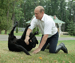 В Петербурге хотят поставить памятник собаке Путина