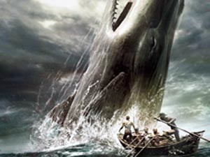 Ученые нашли гигантского кита из «Моби Дика»