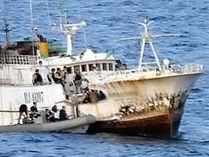 Нигерийские пираты отпустили судно с украинцами