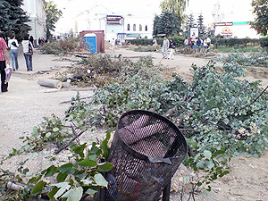 В Киеве спилят все сухие деревья и прочистят ливнестоки