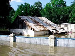Вода, хлынувшая из Каховского водохранилища, затопила село