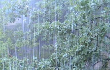 Закарпатскую область снова залило дождем