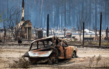 В Днепропетровске выгорело 100 гектаров леса