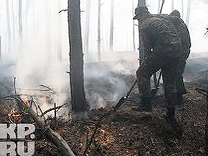 В результате природных пожаров в России погибли 50 человек