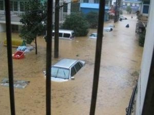 Жертвами муссонных ливней в Индии стали 115 человек