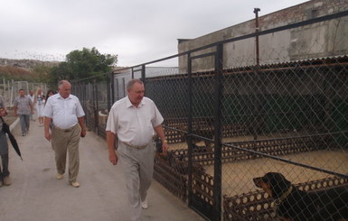В Симферополе открылась ветклиника для бездомных животных