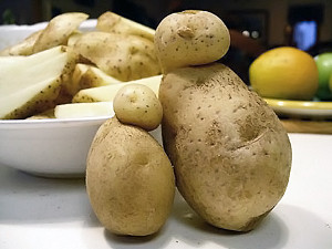 В сентябре в Киев привезут дешевую картошку