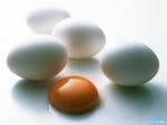  В Феодосии в два раза выросли цены на яйца