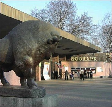Европейский эксперт выяснит, от чего умирают звери в киевском зоопарке