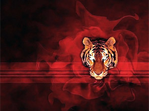 Понедельник, 13 сентября, - день Красного Тигра