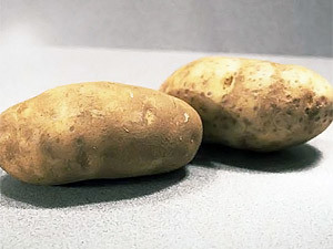 На «Мерседесе» за картошкой