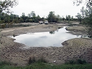 Озеро, где зимовали сотни лебедей со всей Украины и Европы, уничтожило наводнение