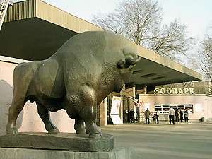 Киевский зоопарк – худший среди худших