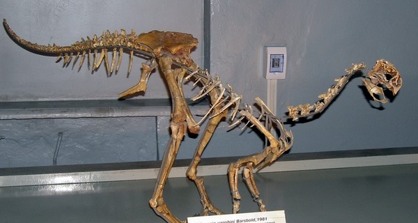 На Sotheby's скелеты динозавров раскупают за миллионы евро