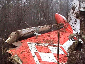 В катастрофе самолета Качиньского виноваты поляки
