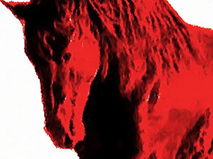 Суббота, 23 октября, - день Красной Лошади. Воскресенье, 24 октября, - день Красной Козы