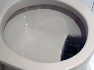 В Польше к Евро-2012 почистили уже 80% туалетов