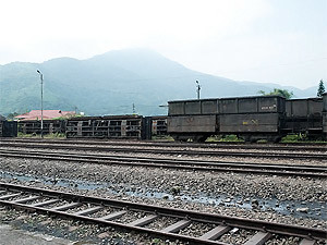 18-летняя девушка украла из поезда полтонны угля